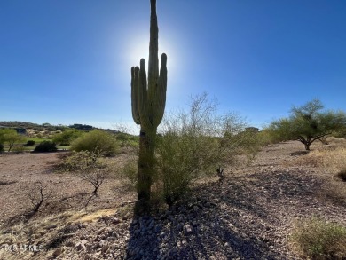 Beautiful gentle sloping hillside lot overlooking double on Superstition Mountain Club - Lost Gold in Arizona - for sale on GolfHomes.com, golf home, golf lot