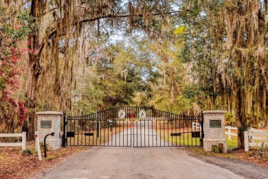 Discover the charm of Sutherland Bluff, a hidden gem on on Sapelo Hammock Golf Club in Georgia - for sale on GolfHomes.com, golf home, golf lot
