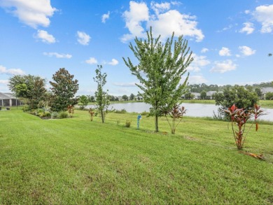 Welcome to 3345 Sagebrush Street, located in the highly on Harmony Golf Preserve in Florida - for sale on GolfHomes.com, golf home, golf lot