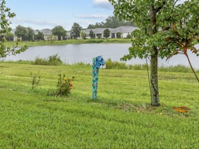 Welcome to 3345 Sagebrush Street, located in the highly on Harmony Golf Preserve in Florida - for sale on GolfHomes.com, golf home, golf lot