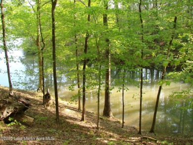 LOCATION, LOCATION, LOCATION! This waterfront lot is located on Willow Point Golf and Country Club in Alabama - for sale on GolfHomes.com, golf home, golf lot