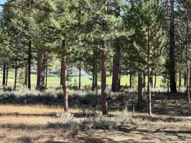Discover one of the most desirable homesites in Truckee, nestled on  in California - for sale on GolfHomes.com, golf home, golf lot