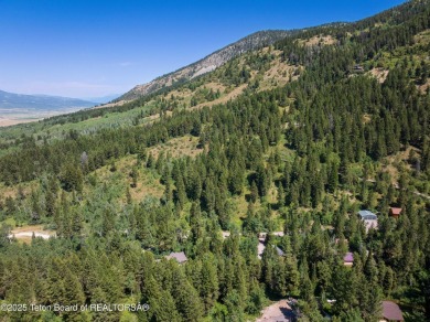 Tucked into the trees on a quiet street in Star Valley Ranch on Star Valley RV Golf Course in Wyoming - for sale on GolfHomes.com, golf home, golf lot