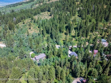 Tucked into the trees on a quiet street in Star Valley Ranch on Star Valley RV Golf Course in Wyoming - for sale on GolfHomes.com, golf home, golf lot