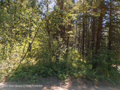A rare opportunity to own one of the few lots that directly on Star Valley RV Golf Course in Wyoming - for sale on GolfHomes.com, golf home, golf lot
