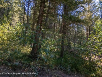 A rare opportunity to own one of the few lots that directly on Star Valley RV Golf Course in Wyoming - for sale on GolfHomes.com, golf home, golf lot