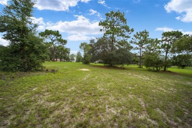 Estate lot just waiting for your dream home! Over 3/4 of an acre on Black Diamond Ranch Golf Course in Florida - for sale on GolfHomes.com, golf home, golf lot