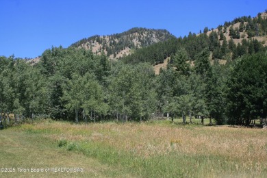 Amazing lot on hole #17 of Cedar Creek Golf Course.  Trees at on Star Valley RV Golf Course in Wyoming - for sale on GolfHomes.com, golf home, golf lot