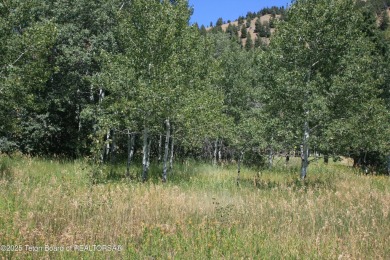 Amazing lot on hole #17 of Cedar Creek Golf Course.  Trees at on Star Valley RV Golf Course in Wyoming - for sale on GolfHomes.com, golf home, golf lot