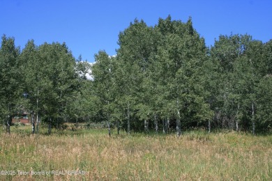 Amazing lot on hole #17 of Cedar Creek Golf Course.  Trees at on Star Valley RV Golf Course in Wyoming - for sale on GolfHomes.com, golf home, golf lot