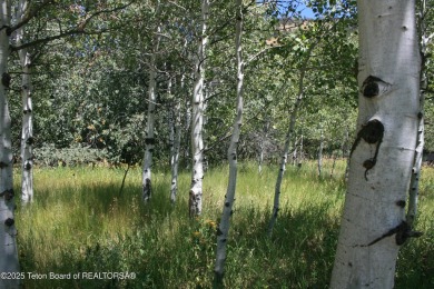 Amazing lot on hole #17 of Cedar Creek Golf Course.  Trees at on Star Valley RV Golf Course in Wyoming - for sale on GolfHomes.com, golf home, golf lot