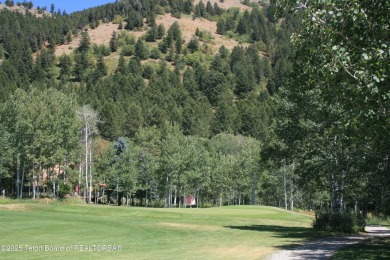 Amazing lot on hole #17 of Cedar Creek Golf Course.  Trees at on Star Valley RV Golf Course in Wyoming - for sale on GolfHomes.com, golf home, golf lot