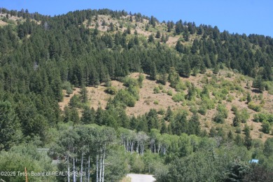Amazing lot on hole #17 of Cedar Creek Golf Course.  Trees at on Star Valley RV Golf Course in Wyoming - for sale on GolfHomes.com, golf home, golf lot
