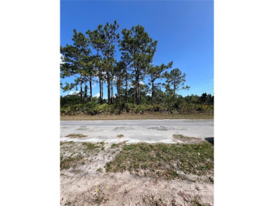 Build Your Dream Home on This Prime Corner Lot!Welcome to 802 on Indian Lake Estates Golf and Country Club in Florida - for sale on GolfHomes.com, golf home, golf lot