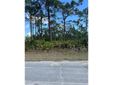 Build Your Dream Home on This Prime Corner Lot!Welcome to 802 on Indian Lake Estates Golf and Country Club in Florida - for sale on GolfHomes.com, golf home, golf lot