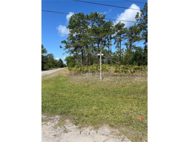 Build Your Dream Home on This Prime Corner Lot!Welcome to 802 on Indian Lake Estates Golf and Country Club in Florida - for sale on GolfHomes.com, golf home, golf lot