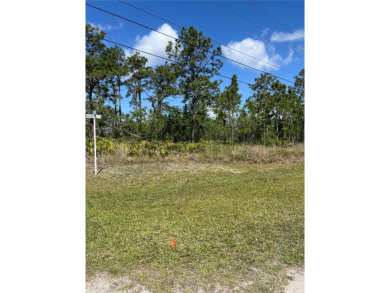 Build Your Dream Home on This Prime Corner Lot!Welcome to 802 on Indian Lake Estates Golf and Country Club in Florida - for sale on GolfHomes.com, golf home, golf lot