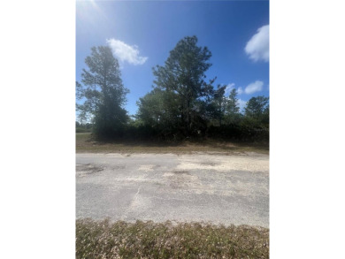 Build Your Dream Home on This Prime Corner Lot!Welcome to 801 on Indian Lake Estates Golf and Country Club in Florida - for sale on GolfHomes.com, golf home, golf lot