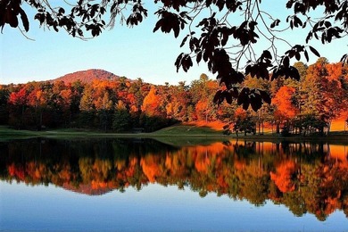 Once upon a time in beautiful North Georgia, under the biggest on Big Canoe Golf Club - Cherokee in Georgia - for sale on GolfHomes.com, golf home, golf lot