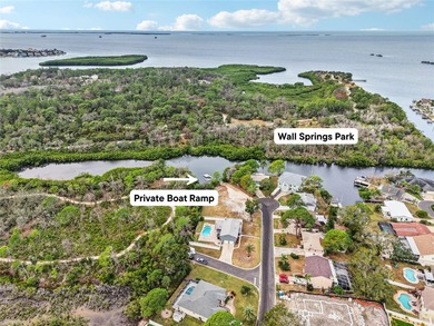 Welcome to 95 Eastwinds Court, an incredible WATERFRONT RETREAT on Innisbrook Resort and Golf Club in Florida - for sale on GolfHomes.com, golf home, golf lot