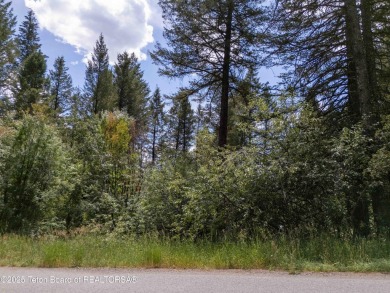 Tree Lined Lot on Vista Drive, Star Valley Ranch.
Tucked among on Star Valley RV Golf Course in Wyoming - for sale on GolfHomes.com, golf home, golf lot
