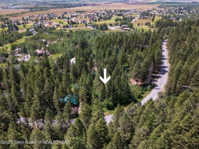 Tree Lined Lot on Vista Drive, Star Valley Ranch.
Tucked among on Star Valley RV Golf Course in Wyoming - for sale on GolfHomes.com, golf home, golf lot