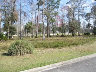 Check out this beautiful .3 acre lot in Sanctuary Cove on The Golf Club At Sanctuary Cove in Georgia - for sale on GolfHomes.com, golf home, golf lot