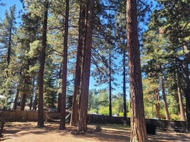 Exceptional opportunity to own a large, level parcel just two on Old Brockway Golf Club in California - for sale on GolfHomes.com, golf home, golf lot