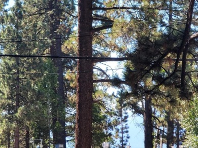 Exceptional opportunity to own a large, level parcel just two on Old Brockway Golf Club in California - for sale on GolfHomes.com, golf home, golf lot