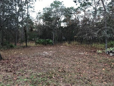 Take advantage of this incredible opportunity to own a beautiful on Sugarmill Woods Golf and Country Club in Florida - for sale on GolfHomes.com, golf home, golf lot