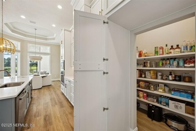 Step inside this stunning Egret V by ICI Homes, offering 4 on Amelia National Golf and Country Club in Florida - for sale on GolfHomes.com, golf home, golf lot