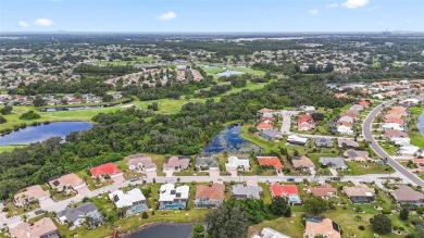 Looking for the perfect home in Sun City Center? This one truly on Caloosa Greens Executive Golf Course in Florida - for sale on GolfHomes.com, golf home, golf lot
