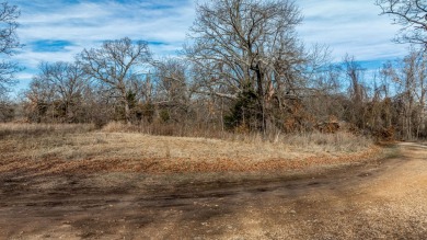 Great opportunity to own one of seven lots, each approximately 0 on Patricia Island Golf Club in Oklahoma - for sale on GolfHomes.com, golf home, golf lot