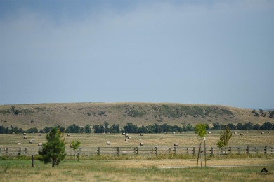 Call/text listing agent Heath Gran  or Scot Munro  with Great on Elkhorn Ridge Golf Course in South Dakota - for sale on GolfHomes.com, golf home, golf lot