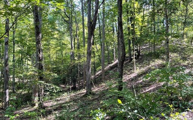 BEAUTIFULLY WOODED LOT IN UPSCALE SUBDIVISION IN THE MOUNTAINS on Mountain Harbour Golf Club in North Carolina - for sale on GolfHomes.com, golf home, golf lot