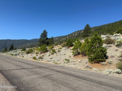 Eagle Ridge in Genoa, one of the most desirable developments in on  in Nevada - for sale on GolfHomes.com, golf home, golf lot