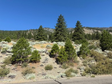 Eagle Ridge in Genoa, one of the most desirable developments in on  in Nevada - for sale on GolfHomes.com, golf home, golf lot