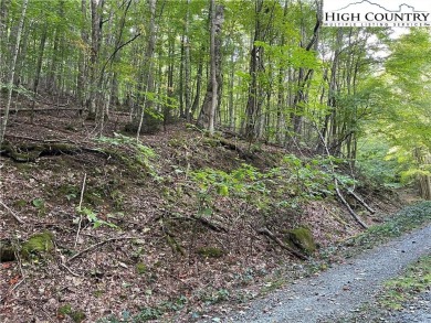 Upside lot at a good price with water and sewer available. 
 on Beech Mountain Club in North Carolina - for sale on GolfHomes.com, golf home, golf lot