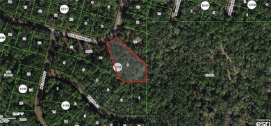 Looking for extra space? This 1.15-acre lot in Citrus Springs on Citrus Springs Country Club in Florida - for sale on GolfHomes.com, golf home, golf lot