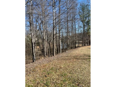 This extraordinary 1.40 +/- acre homesite offers captivating on Hawks Ridge Golf Club in Georgia - for sale on GolfHomes.com, golf home, golf lot