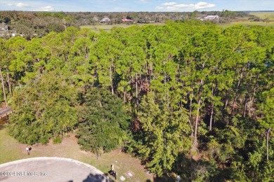 This stunning 2.2-acre waterfront/marsh-front estate lot is the on The Palencia Club in Florida - for sale on GolfHomes.com, golf home, golf lot