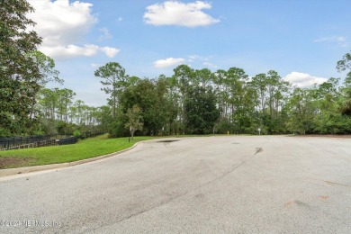 This stunning 2.2-acre waterfront/marsh-front estate lot is the on The Palencia Club in Florida - for sale on GolfHomes.com, golf home, golf lot
