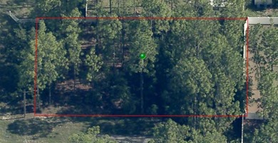 This .23-acre lot is ready for your vision to build your dream on Citrus Springs Country Club in Florida - for sale on GolfHomes.com, golf home, golf lot