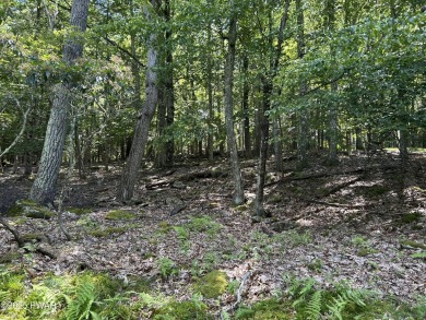 Tanglwood Lakes Community! This wooded lot is perfect for on Paupack Hills Golf and Country Club in Pennsylvania - for sale on GolfHomes.com, golf home, golf lot