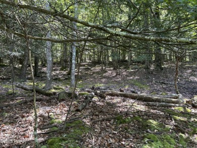 Tanglwood Lakes Community! This wooded lot is perfect for on Paupack Hills Golf and Country Club in Pennsylvania - for sale on GolfHomes.com, golf home, golf lot