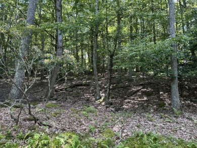 Tanglwood Lakes Community! This wooded lot is perfect for on Paupack Hills Golf and Country Club in Pennsylvania - for sale on GolfHomes.com, golf home, golf lot