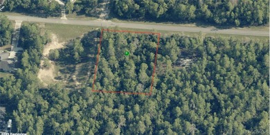 Plenty of space on this 1-acre lot in Citrus Springs! Perfect on Pine Ridge Community Golf and Country Club in Florida - for sale on GolfHomes.com, golf home, golf lot
