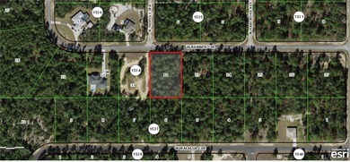 Plenty of space on this 1-acre lot in Citrus Springs! Perfect on Pine Ridge Community Golf and Country Club in Florida - for sale on GolfHomes.com, golf home, golf lot