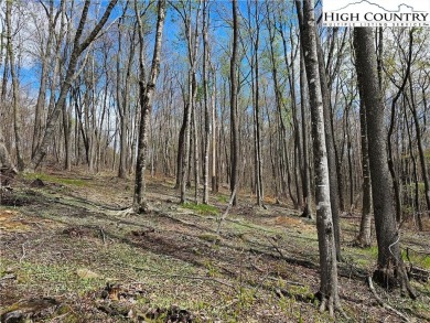 This is a beautiful, relatively level lot with awesome long on Elk River Club in North Carolina - for sale on GolfHomes.com, golf home, golf lot