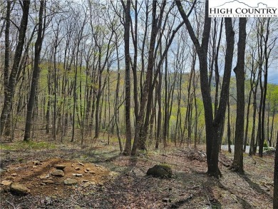 This is a beautiful, relatively level lot with awesome long on Elk River Club in North Carolina - for sale on GolfHomes.com, golf home, golf lot